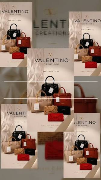 Valentino Bags